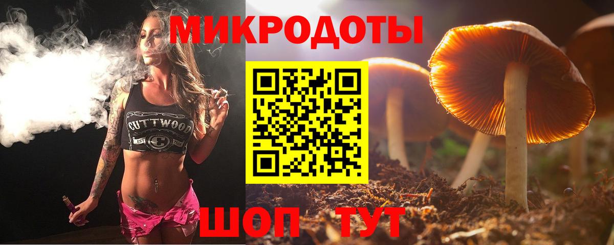 Псилоцибиновые грибы Psilocybine cubensis Новокубанск